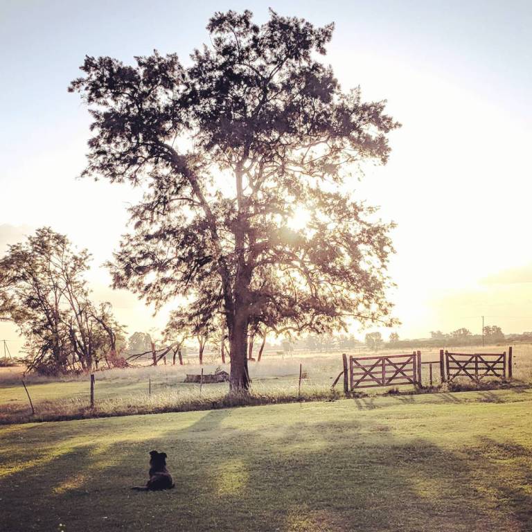 26171205_10155865786494277_7081019712984189350_o