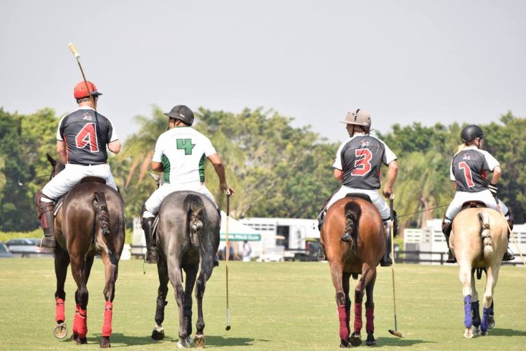 28826974_2033182810273157_2734388889722912435_o